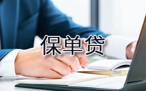 五指山保单贷