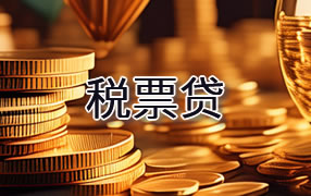 五指山税票贷